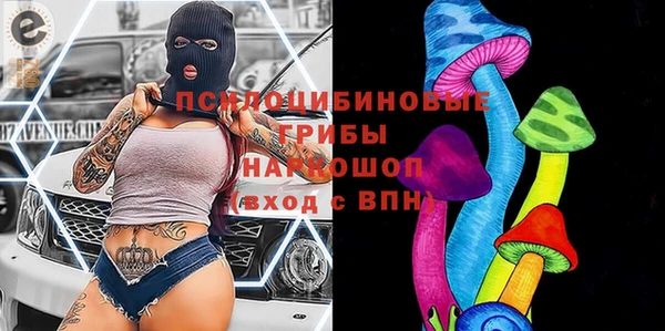 дмт Армянск